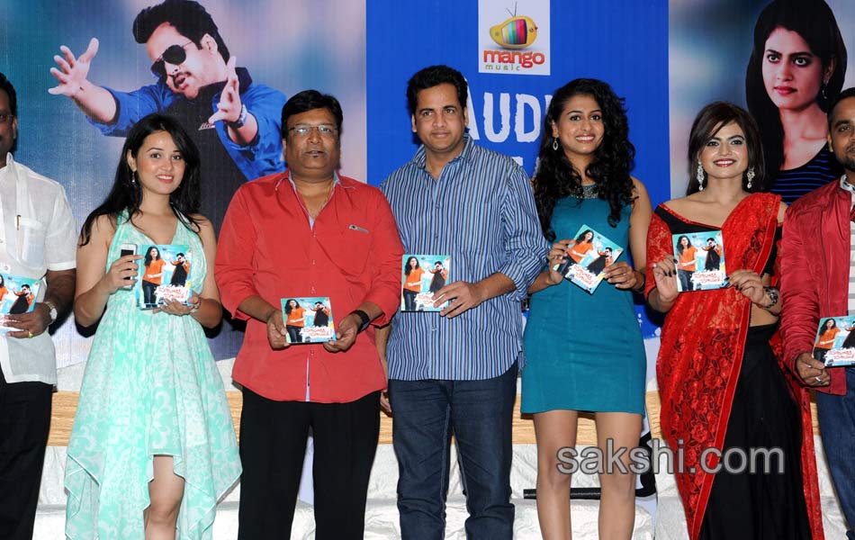 Chusinodiki Chusinantha Movie Audio Launch5