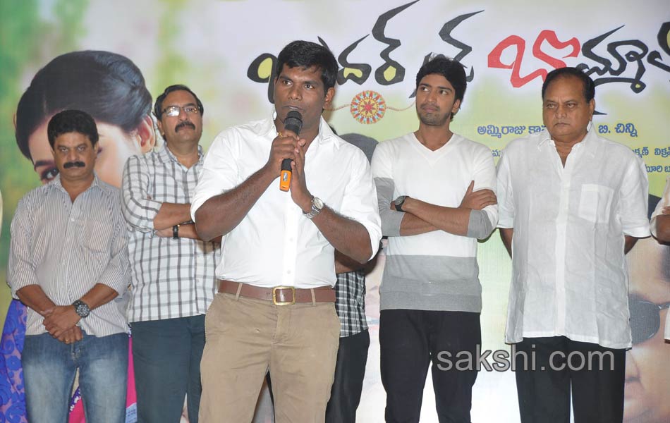 Brother Of Bommali Success Meet11