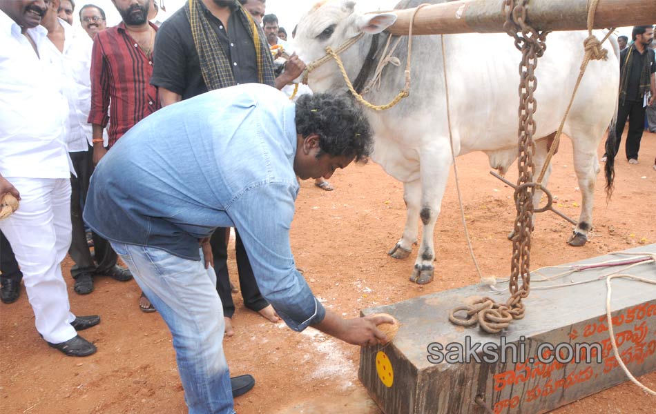 hero ravi teja in vijyawada6