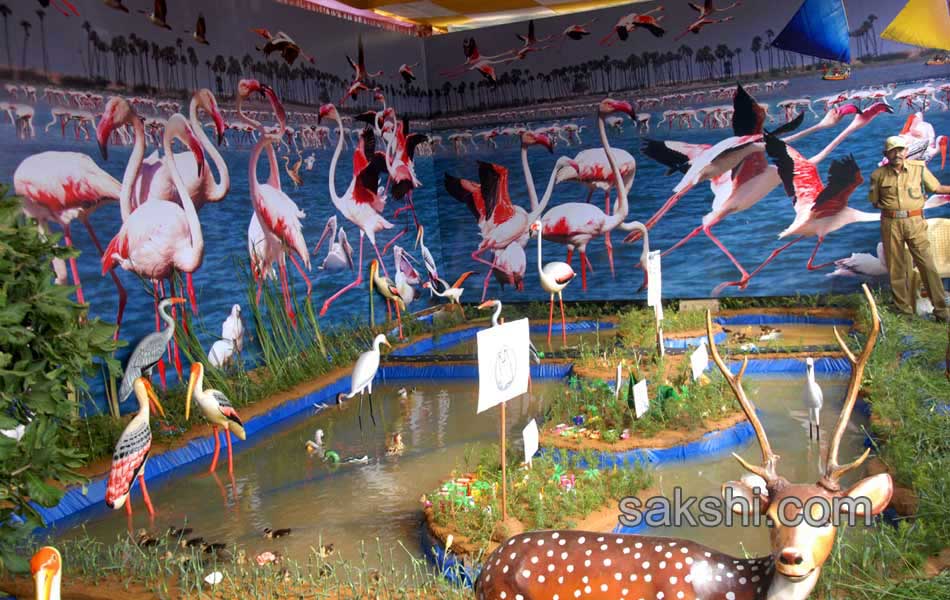 flamingo festival in Nellore district9