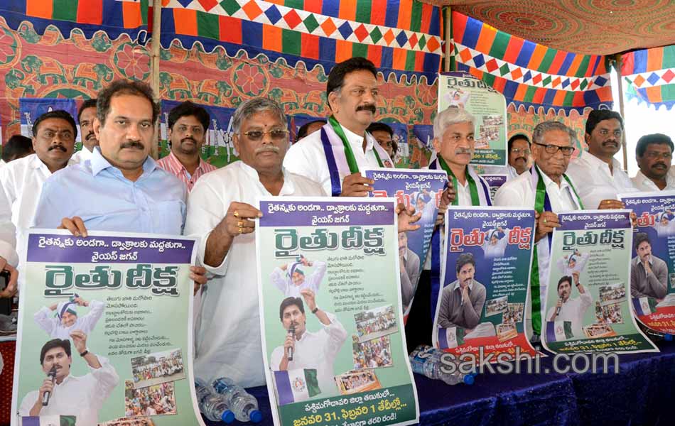 YS Jagan rythu Deeksha posters released in tanuku - Sakshi9