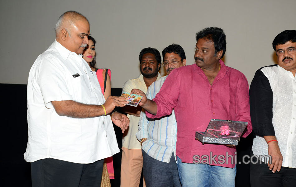 Anekudu Movie Audio Launch - Sakshi12