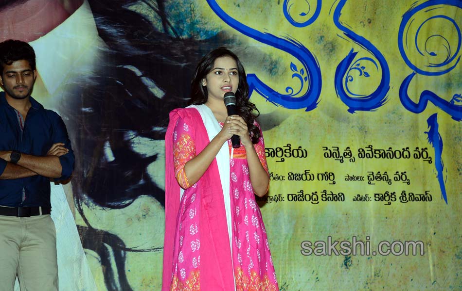 Vaaradhi telugu movie Trailer Launch3