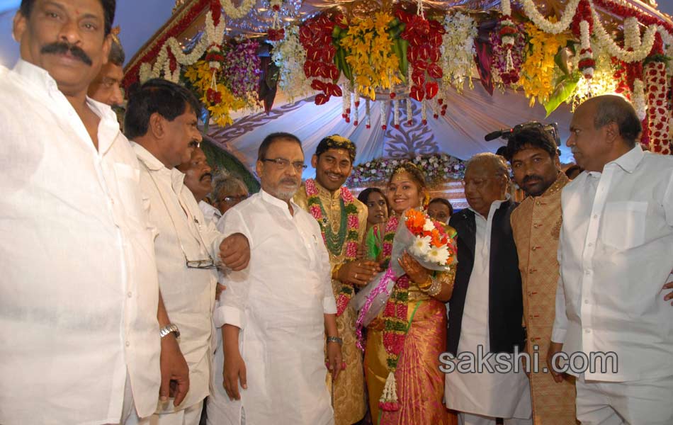 Kotam Reddy Sridhar Reddy daughter marriage - Sakshi9