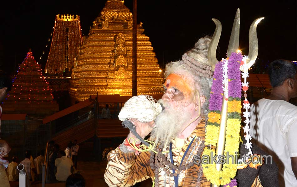 Kailasavahanampai amidst srisailamallanna - Sakshi6