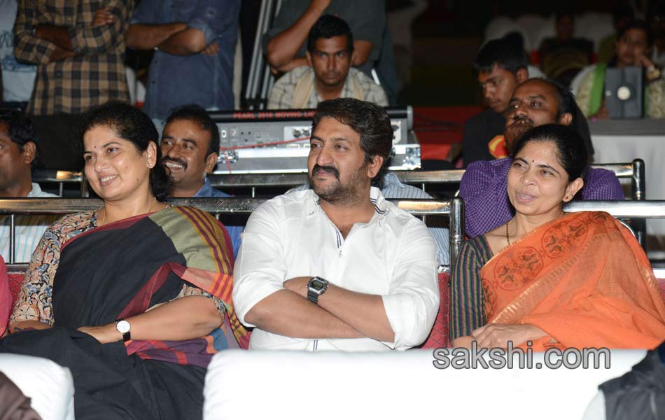 Chaitanya Dohchay Audio Launch - Sakshi17