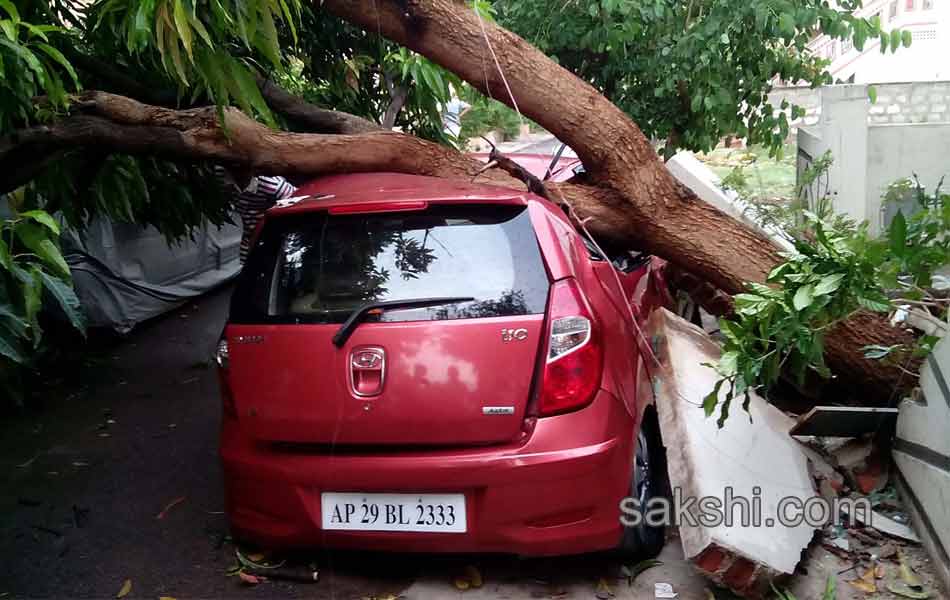 gusty winds wrecking2