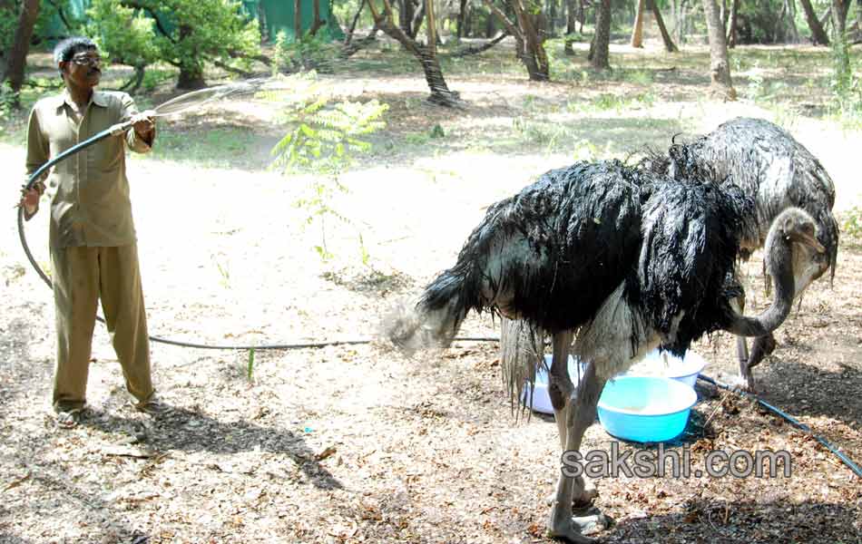 hot summer in hyderabad city27