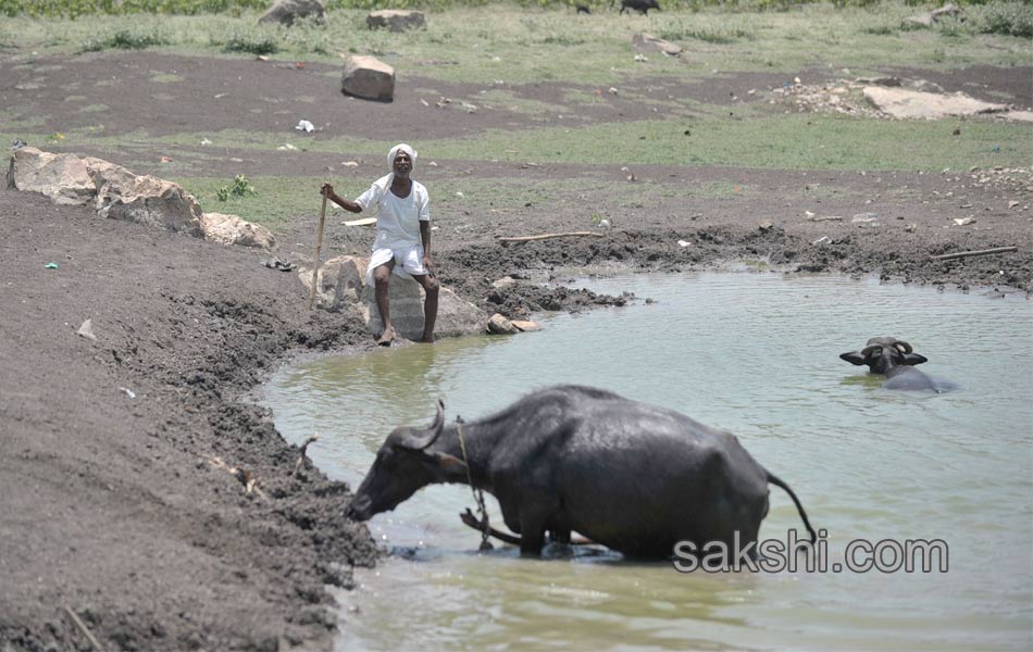 sammer in india4