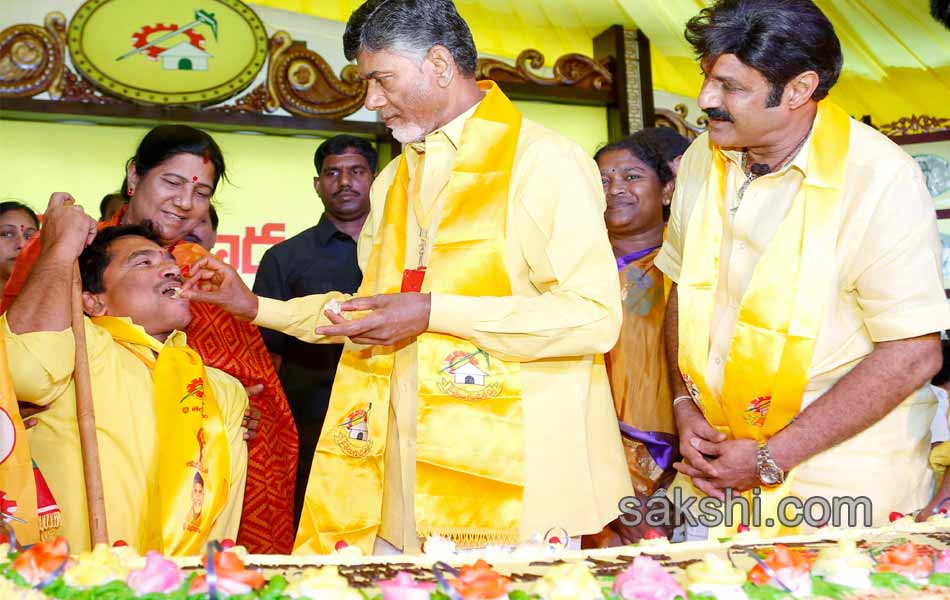 second day TDP Mahanadu - Sakshi3