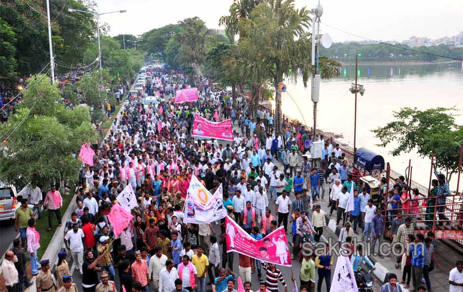 Telangana State formation celebrations - Sakshi12