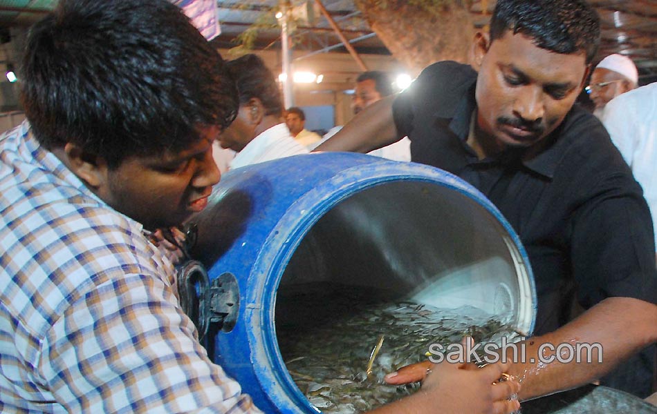 fish prasadam for asthma patients9