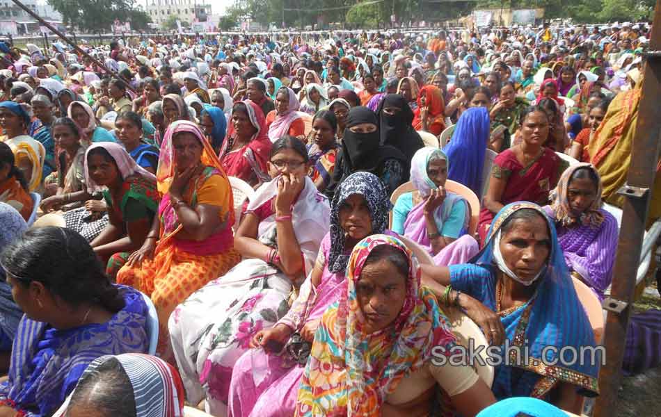 haritha haram in karimnagar6