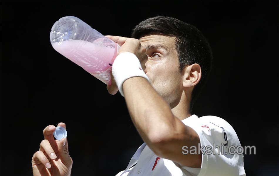 Roger Federer advances to 10th Wimbledon final14