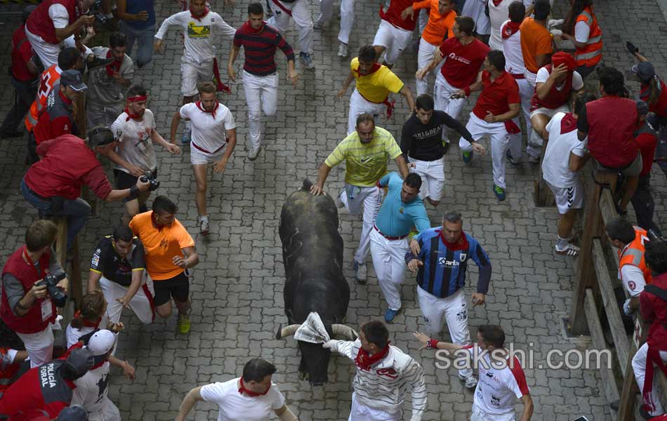 bull run in spain5