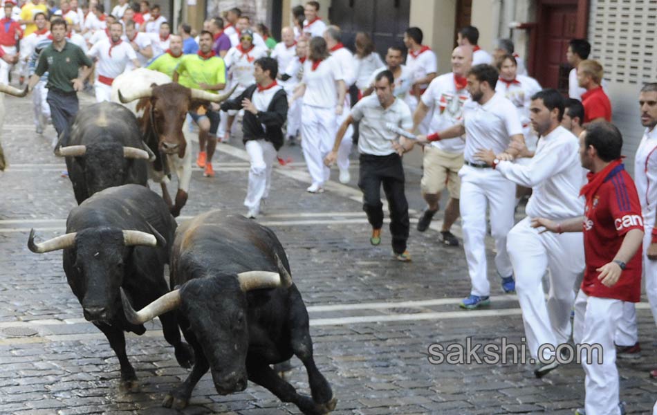 bull run in spain6