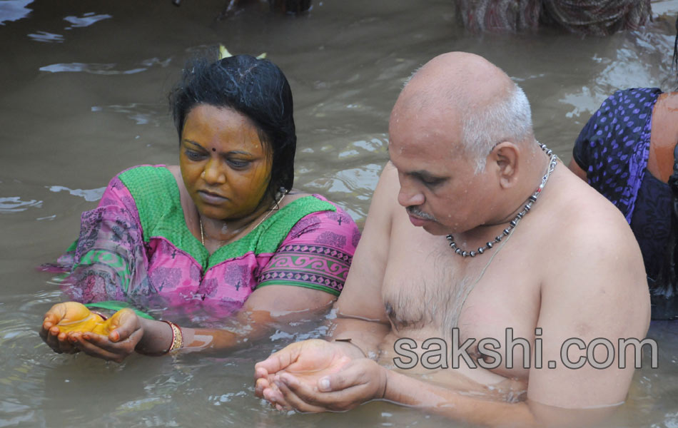 holy pushkaralu comes to seventh day20