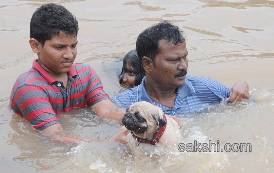 holy pushkaralu comes to ninth day of5