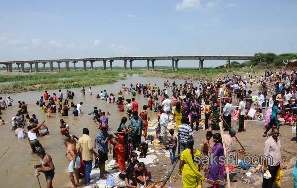 telangana godavari pushkaralu - Sakshi19