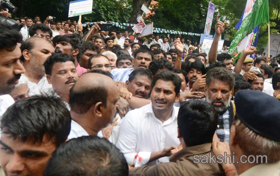 ys jagan mohan reddy echoes special status slogan in delhi - Sakshi18