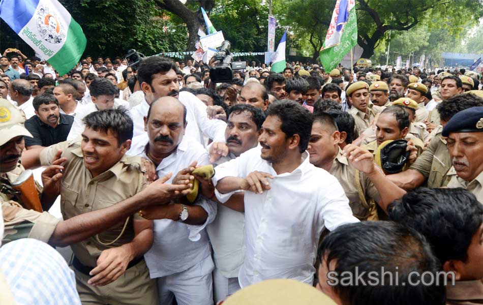 ys jagan mohan reddy echoes special status slogan in delhi - Sakshi20