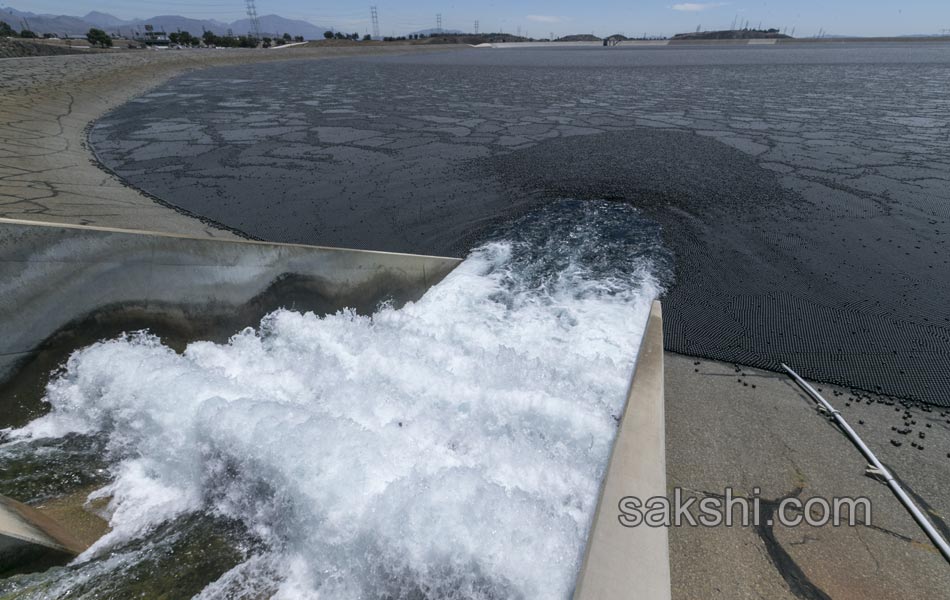 plastic balls threwn in to Reservoirs to save water in usa - Sakshi3