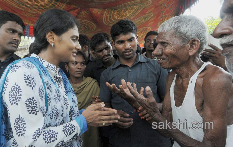 ys sharmila 3rd day paramarsha yatra in warangal distirict5