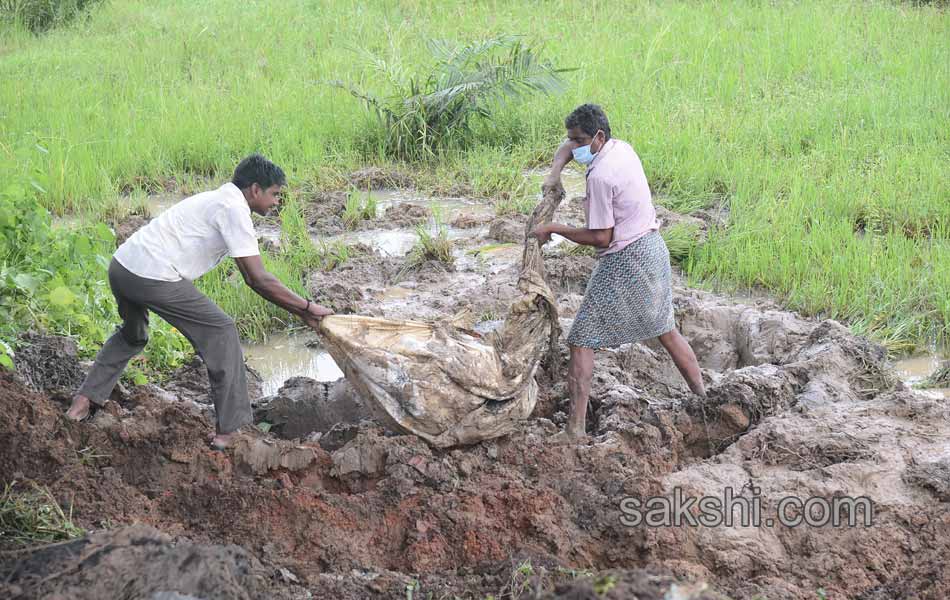 Several died in road accident at Rajamandry - Sakshi7