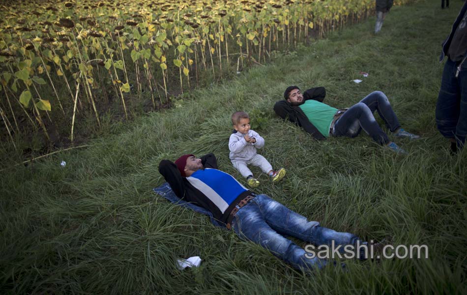 Serbia Hungary Migrants14