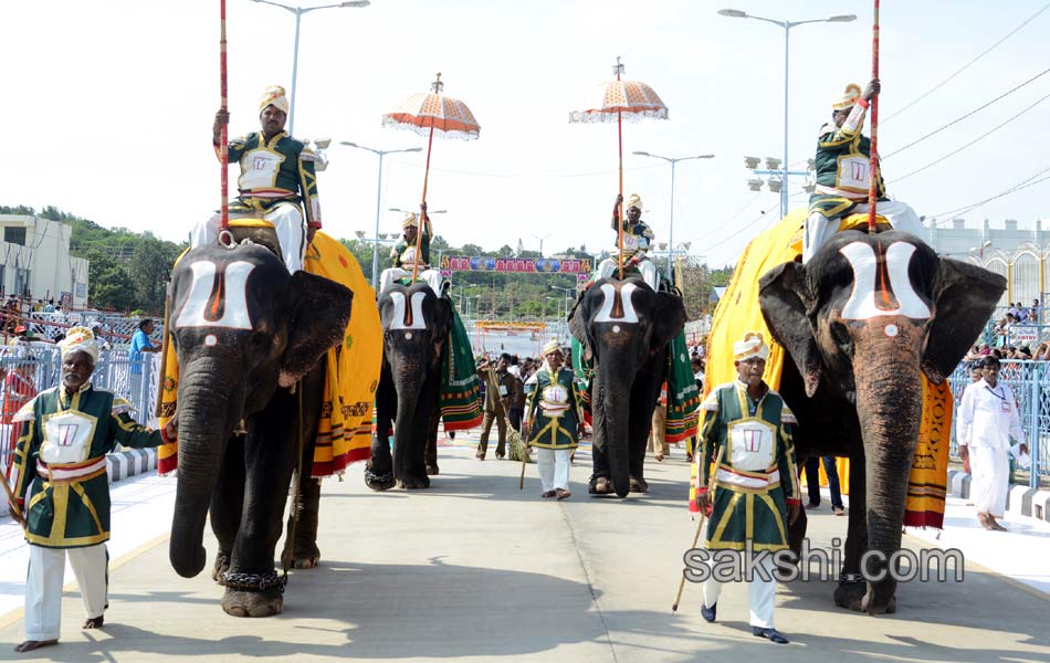 tirumala brahmotsavam 2015 - Sakshi19