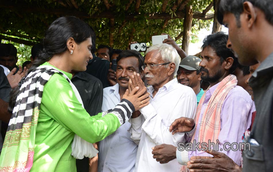 YS Sharmila second day paramarsha yatra14