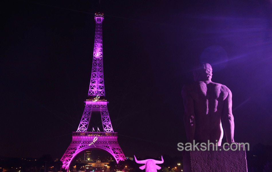 eiffel towers - Sakshi3