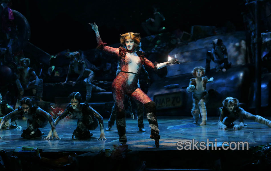 Paris musical Cats11