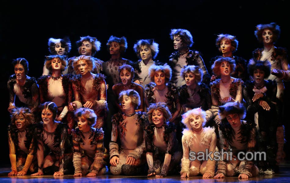 Paris musical Cats15