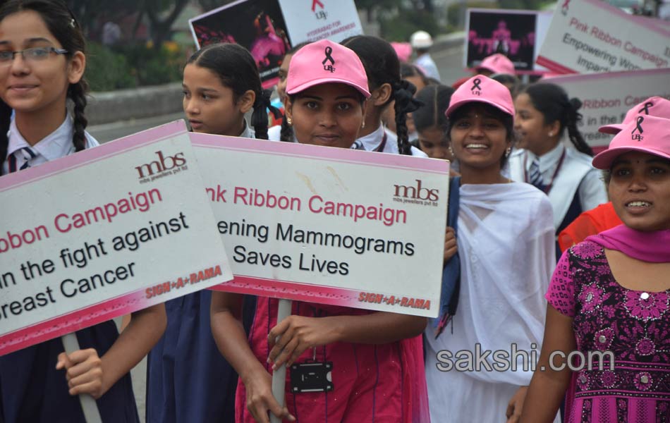 Pink Ribbon Walk3