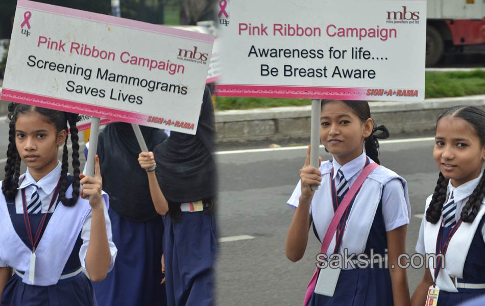 Pink Ribbon Walk4