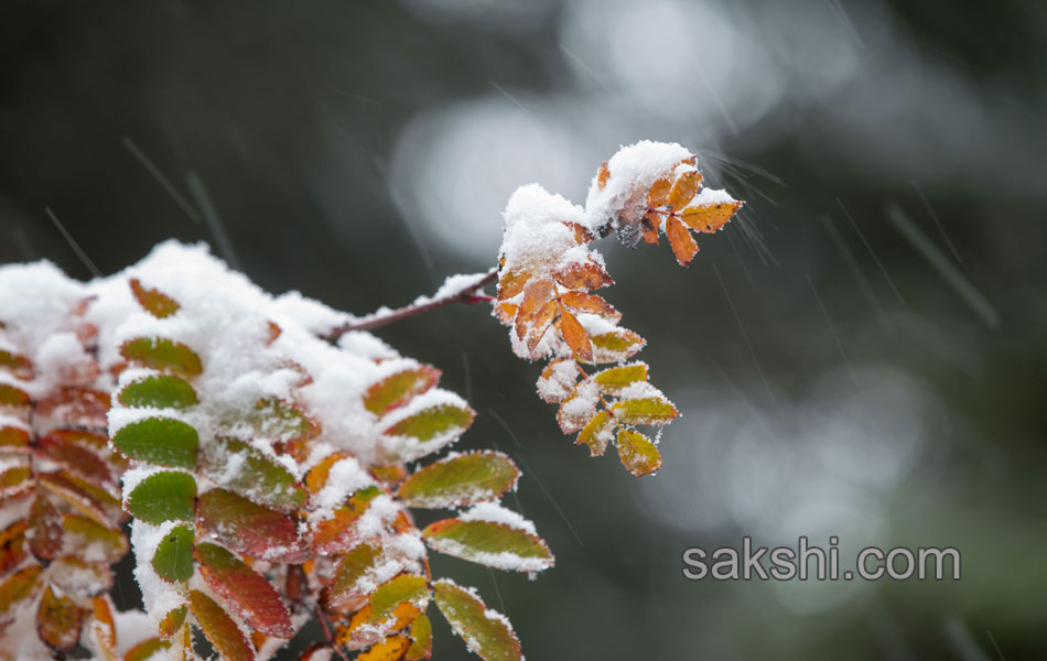 Snow fall in germany3