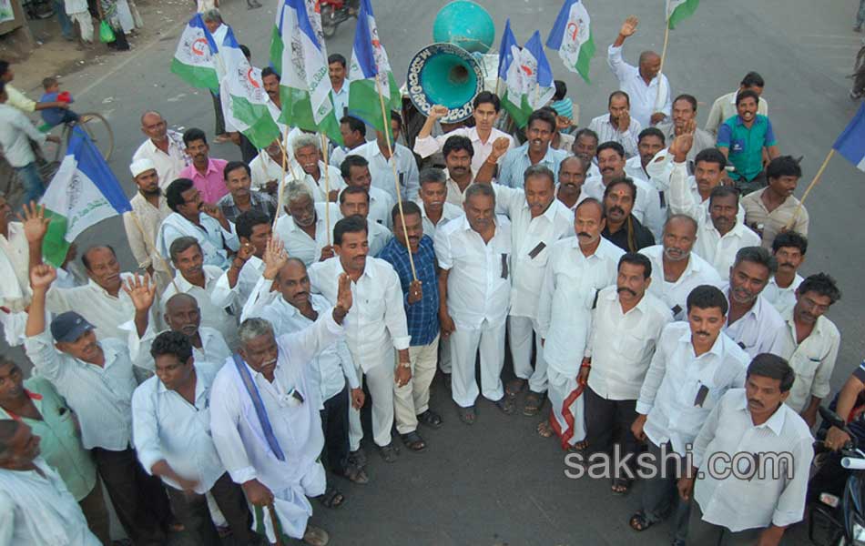 YSCP protesting on status - Sakshi5