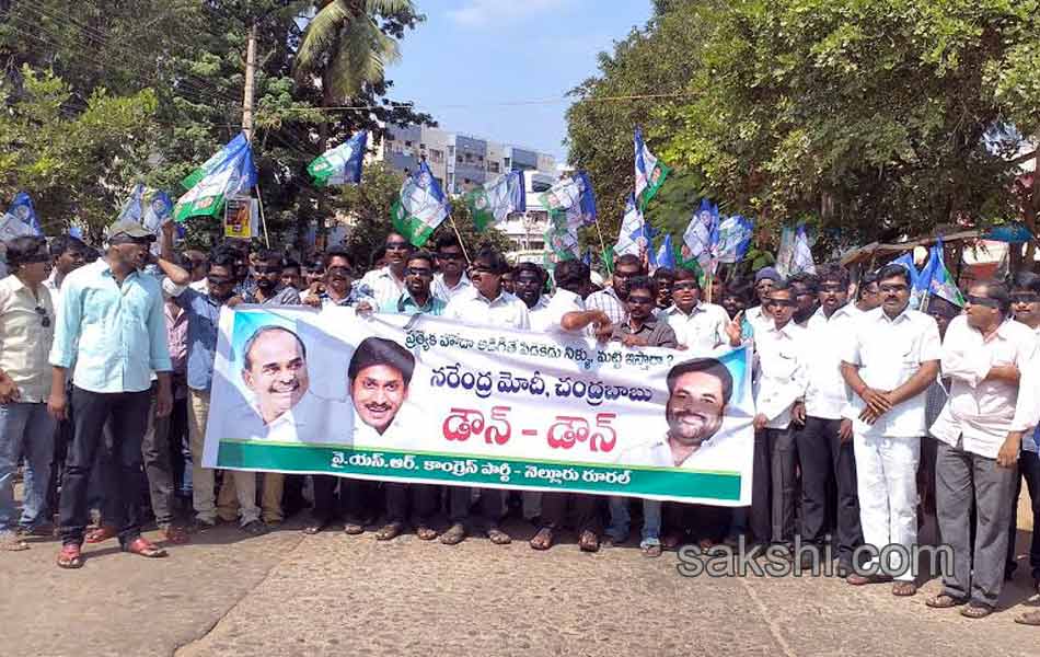 YSCP protesting on status - Sakshi12