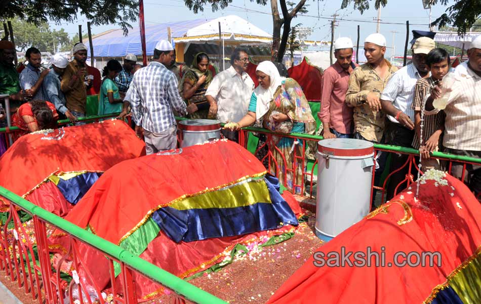 Nellore Roti Festival will Start - Sakshi19