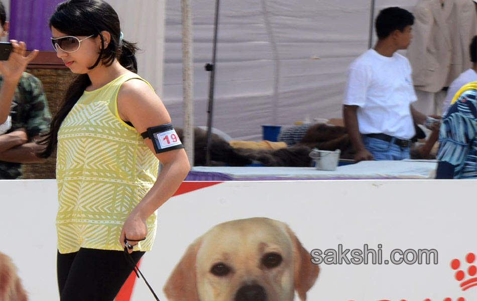 Dogs Show in hyderabad - Sakshi2