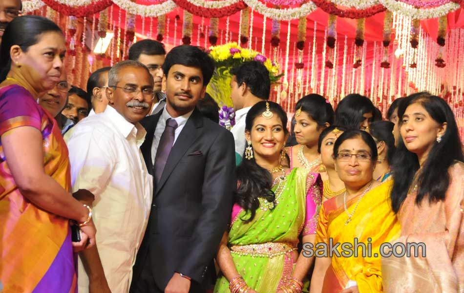 Bhumana Karunakar Reddy Son Abhinay Reddy Wedding Reception2