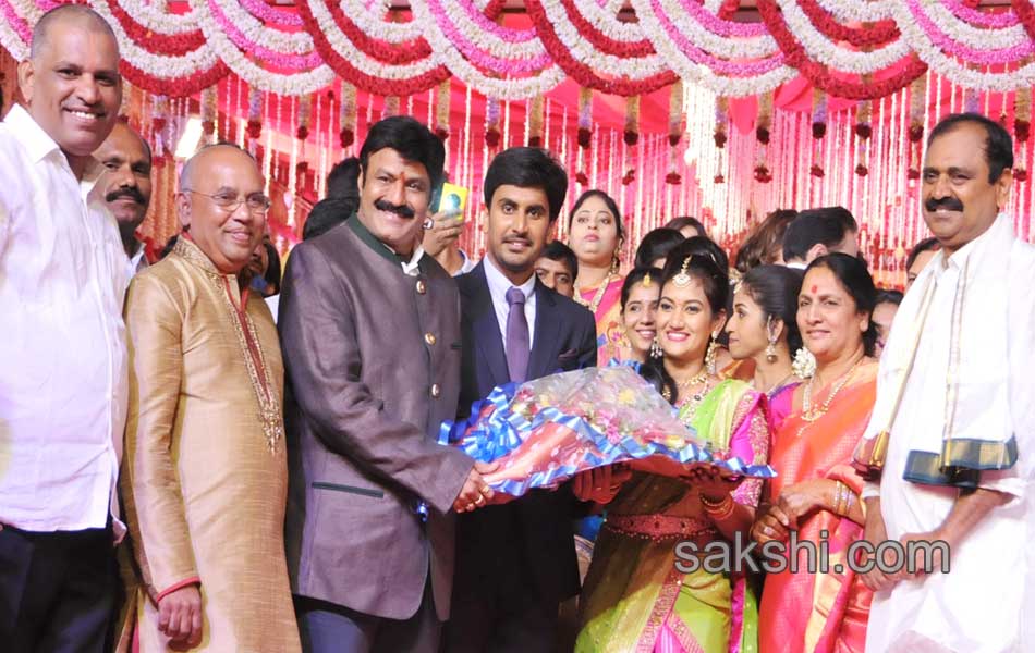 Bhumana Karunakar Reddy Son Abhinay Reddy Wedding Reception10