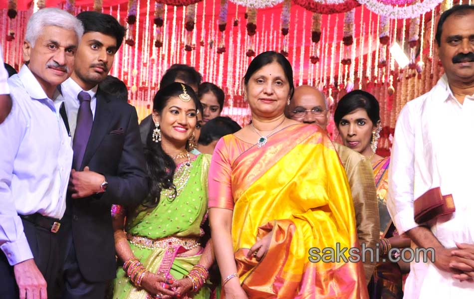 Bhumana Karunakar Reddy Son Abhinay Reddy Wedding Reception25