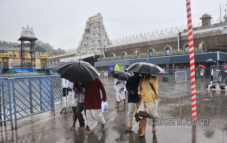 tirumala havy rain3