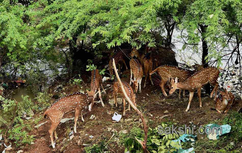 heavy rainfal in Chennai on Friday2