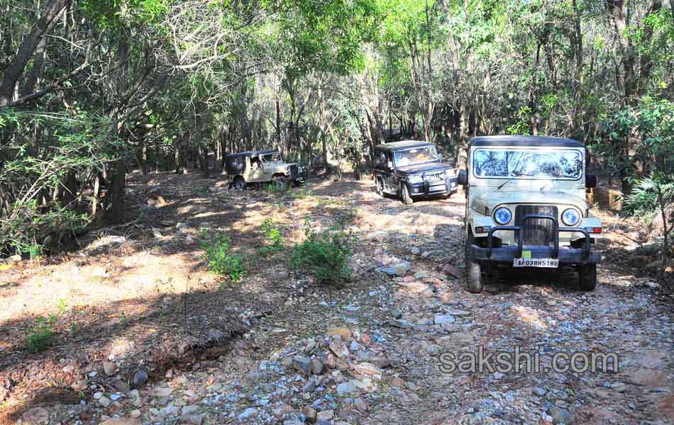 Erracandanam smugglers in seshachalam forest9