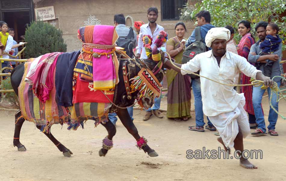 Kite Festival in hyderabad18