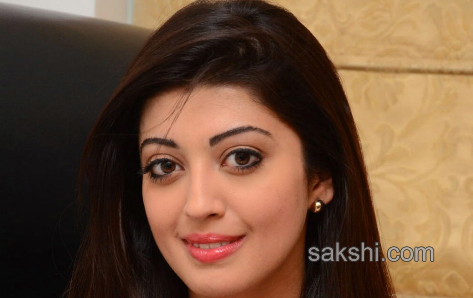 pranitha injured in road accident at khammam - Sakshi12