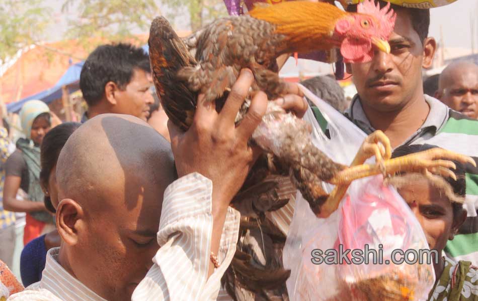 grand lunch to medaram jatara20